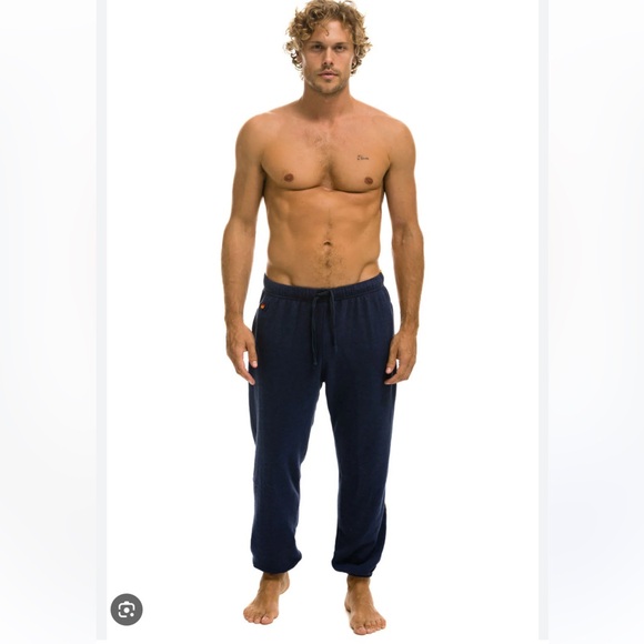 Aviator Nation embroidey accent navy blueJogger Pants